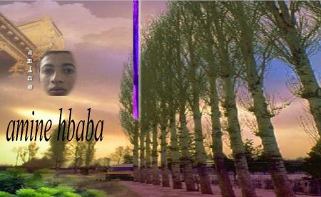 amine hbaba