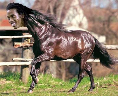 hmar chtaybi